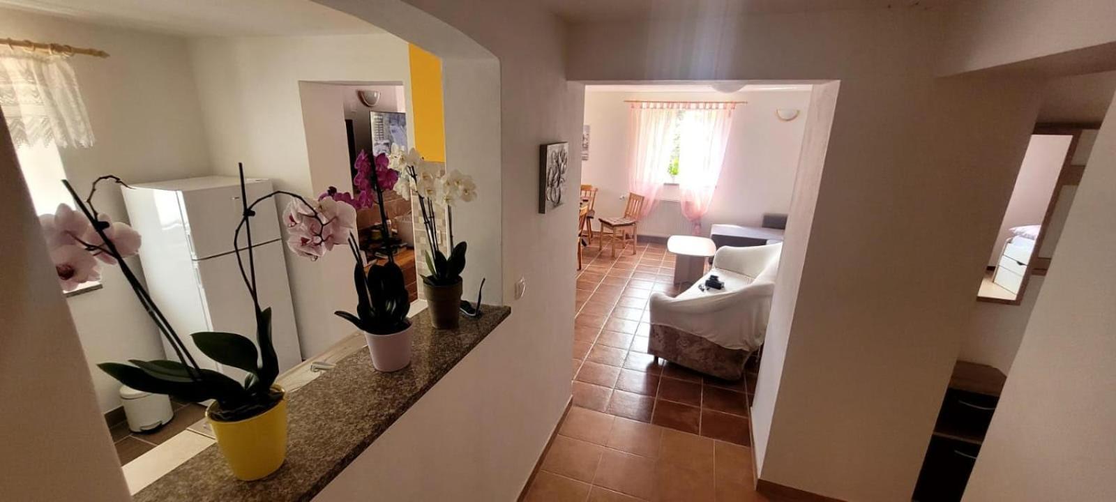 Apartma Brin Bovec Luaran gambar